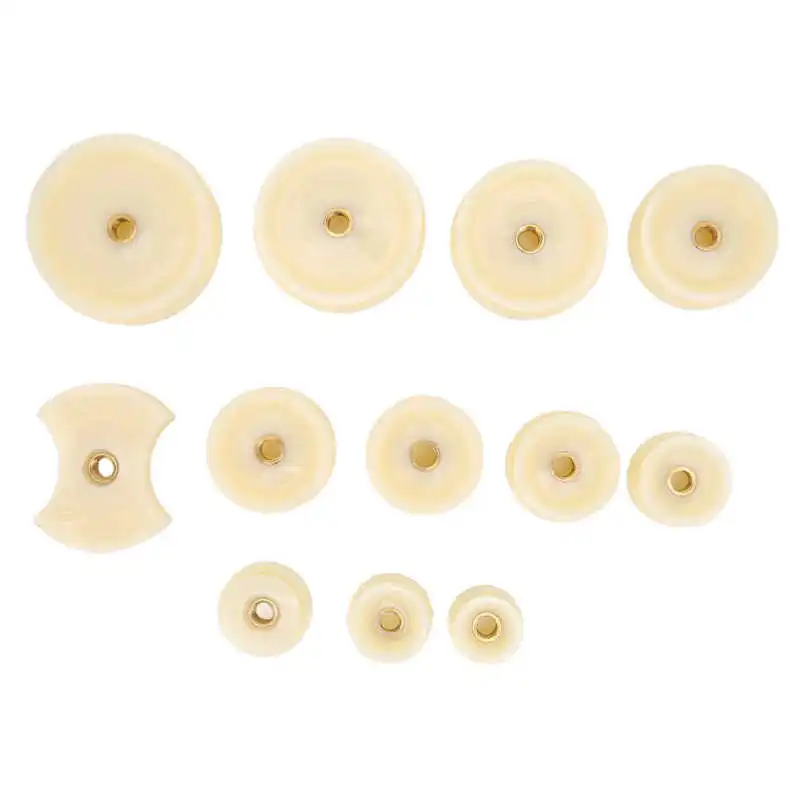 Watch Back Press Tool Set Nylon Prevent Slip 12pcs Fitting Dies Watch Back Case Closer for Watchmaker Watch Repair Tools