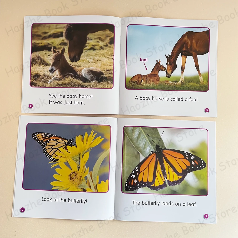 Книги с наведением научных идей уровень E &amp F: 12 интересных нефантастических книг