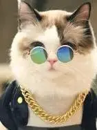 

Test1201test1201