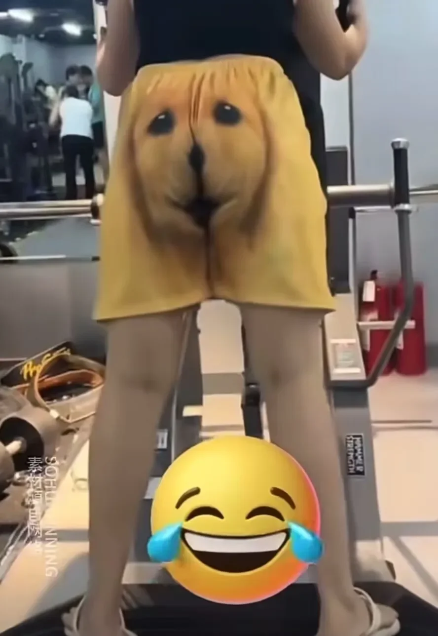 Tiktok Live Funy Брюки Ретривер Хаски с принтом Быстросохнущие шорты Пижамы для косплея