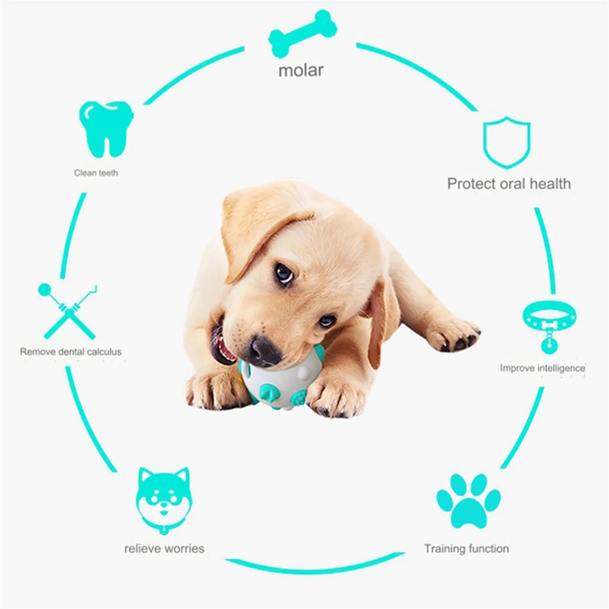 Игрушки для щенков прорезывания зубов веселые игрушки собак инновационные