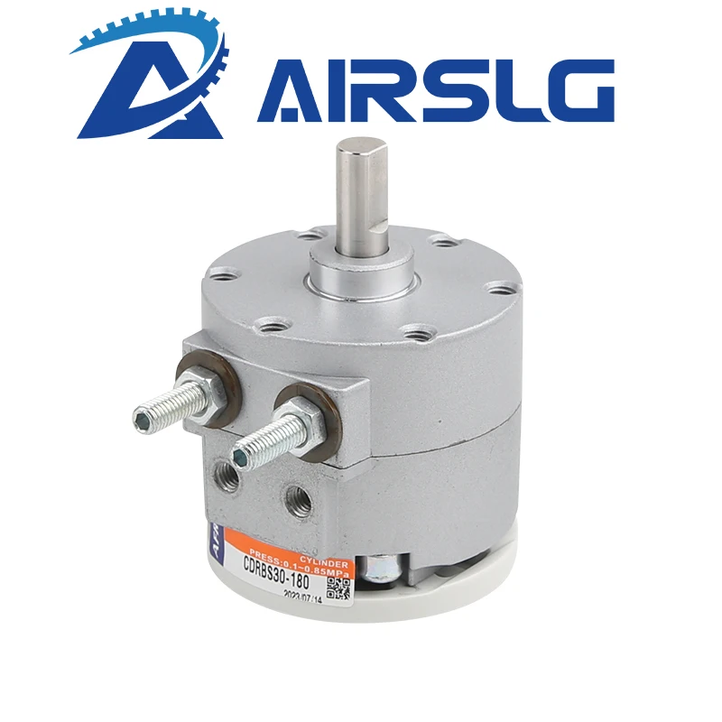 Вращающийся цилиндр типа лезвия CDRBS CDRBS10-90 °/180 ° CDRBS15-90 CDRBS20-90 CDRBS30-90 CDRBS40-90