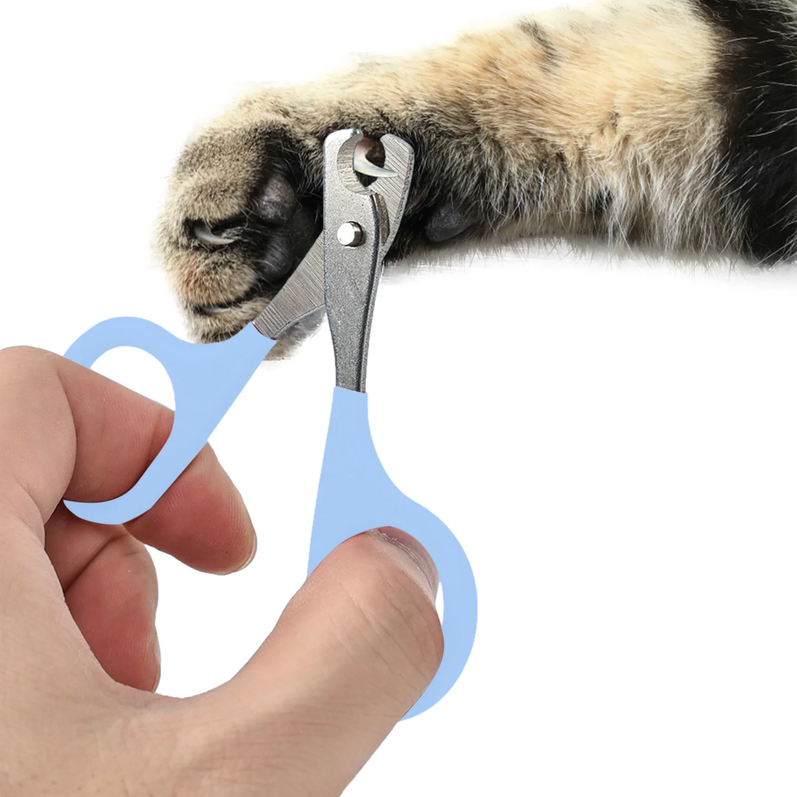 

Nail Clippers For Small Animals Stainless Steel Cat Claw Trimmer Grooming Kit Suits Most Small Animals Dogs Cats Puppies Kittens