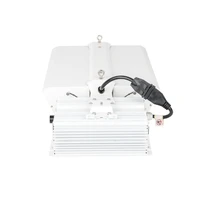 new style hydroponic system double ended indoor grow fixture 1000w de hps mh grow light kit 400v 277v