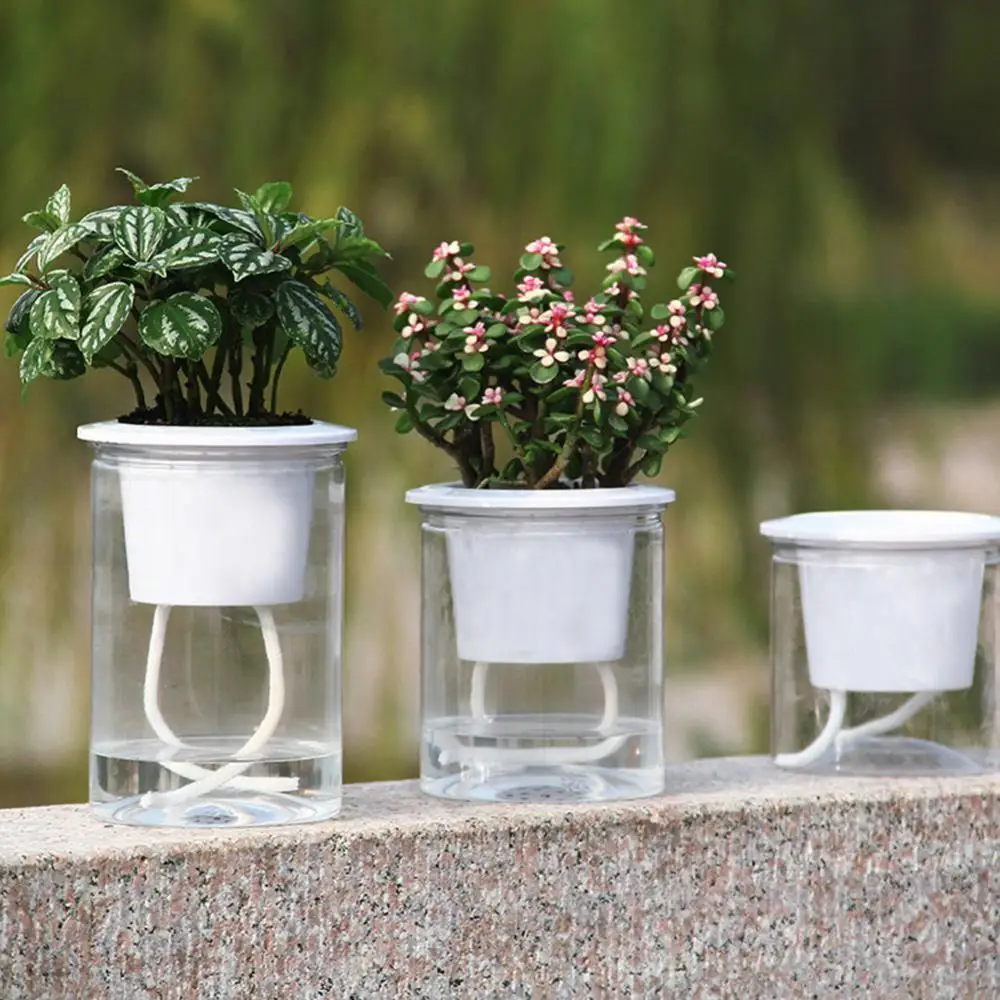 

Clear Automatic Water Absorption Self Watering Hydroponic Flower Pot Planter
