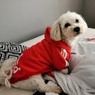 Роскошная Одежда для собак, толстовка, куртка для домашних животных, свитер с принтом чихуахуа, французский бульдог, утолщенные теплые аксессуары для домашних животных, разные цвета на выбор