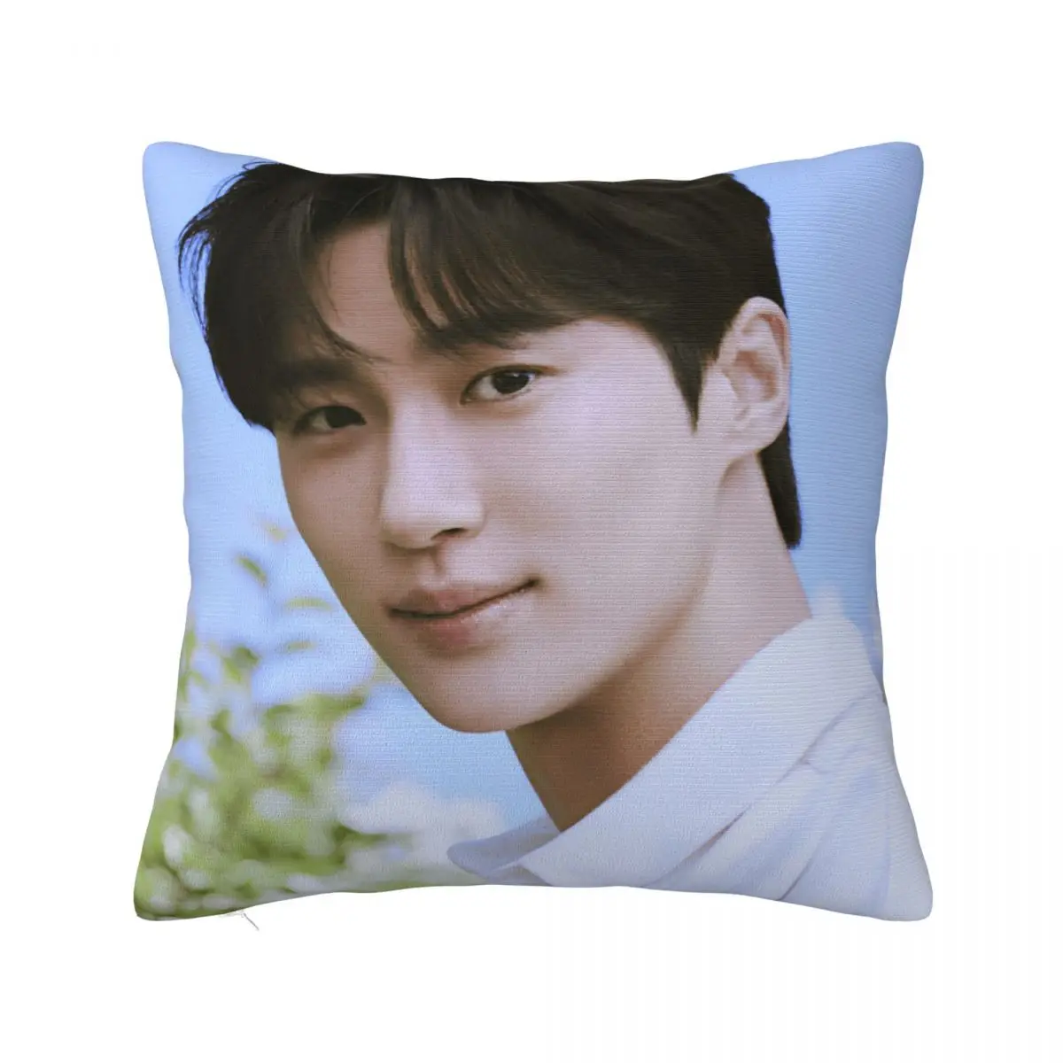 Byeon Woo-seok Корейская наволочка с двусторонним принтом полиэстер чехол для подушки