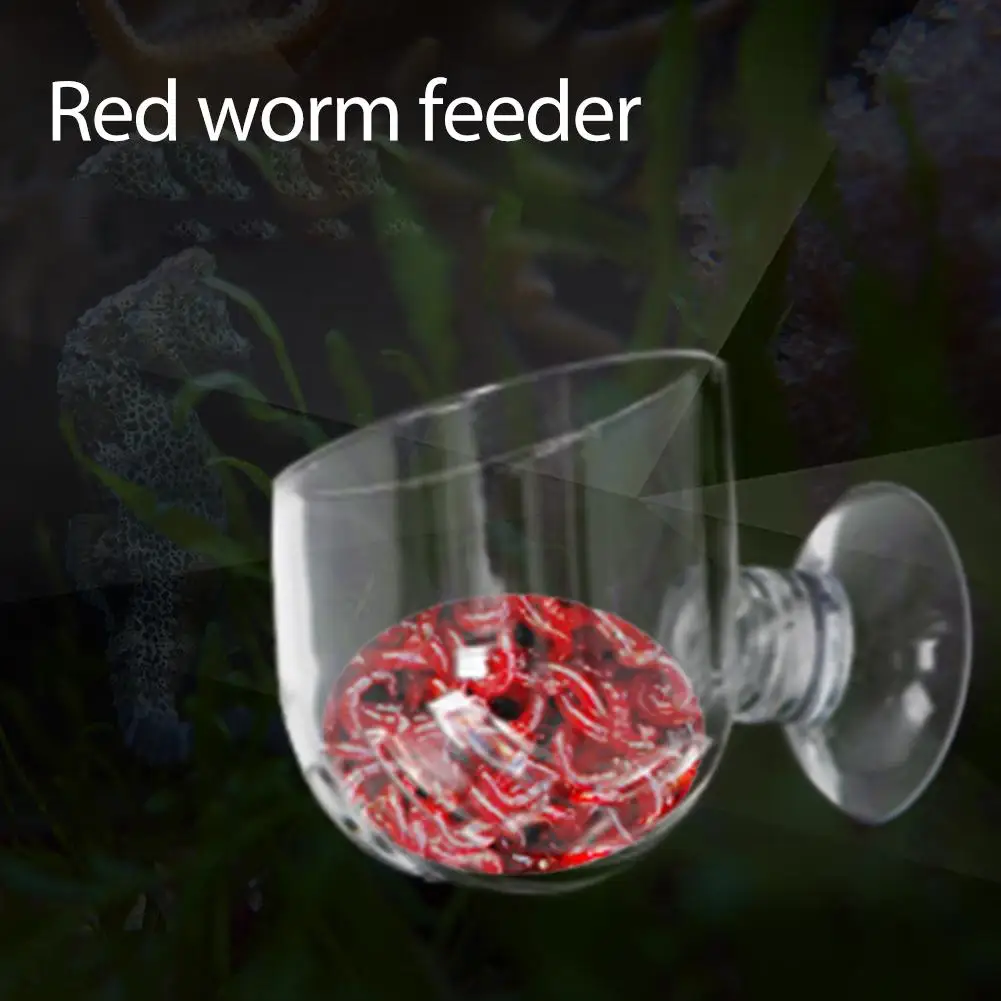 

Glass Feeding Cup Fish Tank Feeder Brine Shrimp Eggs Red Worms Food For Aquarium Fish Tank Feeding Bowl