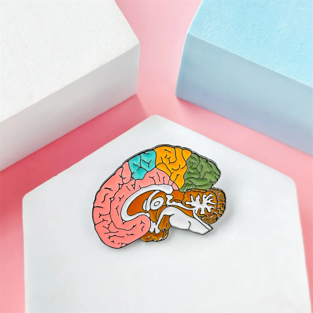 

Harong Exquisite Brain Enamel Pin Human Anatomy Colorful Brooch Backpack Coat Lapel Badge for Medical Student Teacher