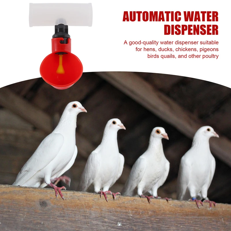 Chicken Drinking Cup 10 Pieces Automatic Drinker Red Plastic Duck Bird Quail Pigeon Hen Bowl