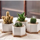 Овальная бамбуковая деревянная блюдце, поднос для растений, подставка для мини-растений, цветов, поднос, простой элегантный дизайн, для дома и балкона