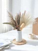natural dry flower bouquet real flower reed diy material decoration light luxury living room decoration bedroom decoration