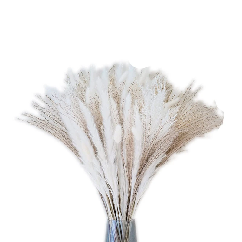 

70 Pcs 35 Pcs White Pampas & 10 Pcs White Bunny Tail & 20 Pcs Reed Grass 5 Pcs White Reed/Natural Dried Pampas Grass
