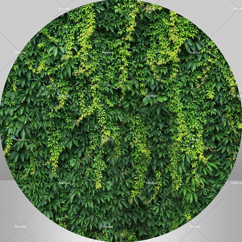 

Зеленые листья на заказ, украшение для свадебной вечеринки, детский день рождения, круг, Круглый фон, Обложка, эластичный торт, стол, баннер