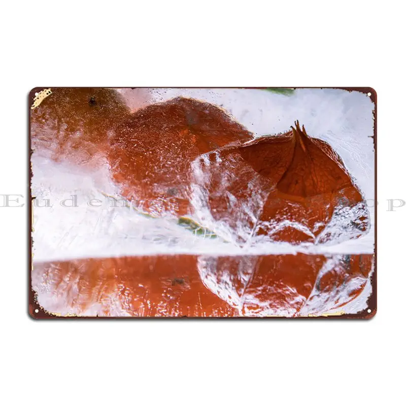 

Металлический знак Physalis In Ice 2, плакаты для гаража, кинотеатра, персонализированный кинотеатр, жестяной плакат