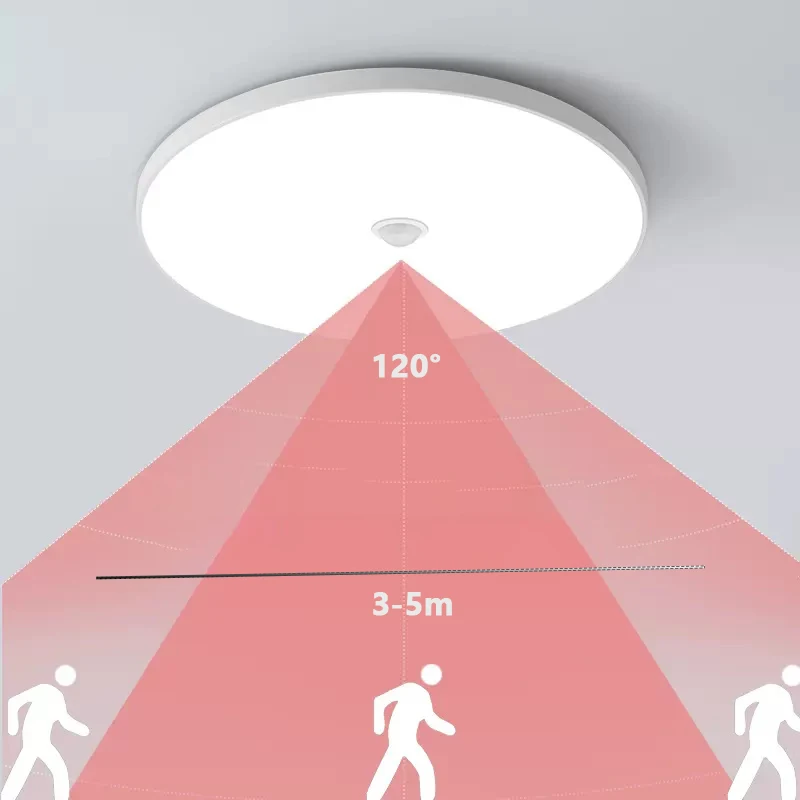 

Smart Home Motion Sensor LED Ceiling 18W 24W For Hallway Stairs Depot Kids Room Ceiling Lamps