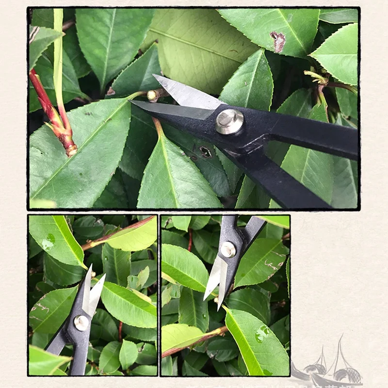 New Gardening Shears Can Cut Aluminum Wire Buds Clip Pruning Shears Cut Sprigs Of Boxwood Black Pine Bonsai Scissors images - 6