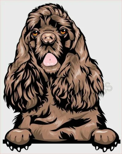 

For COCKER SPANIEL Peeking Dog Breed Colour Window Wall Laptop Sticker w/proof