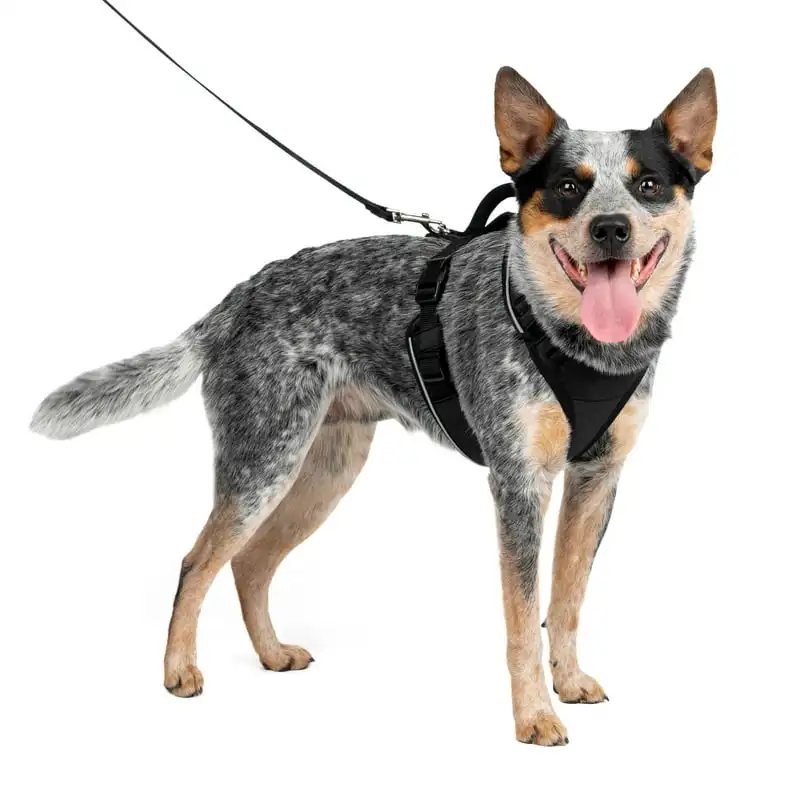 

Dog Harness, Adjustable, Padded with Handle, Reflective, Medium, Medium, Black Dog collar for small dogs Long dog leash Airtag d