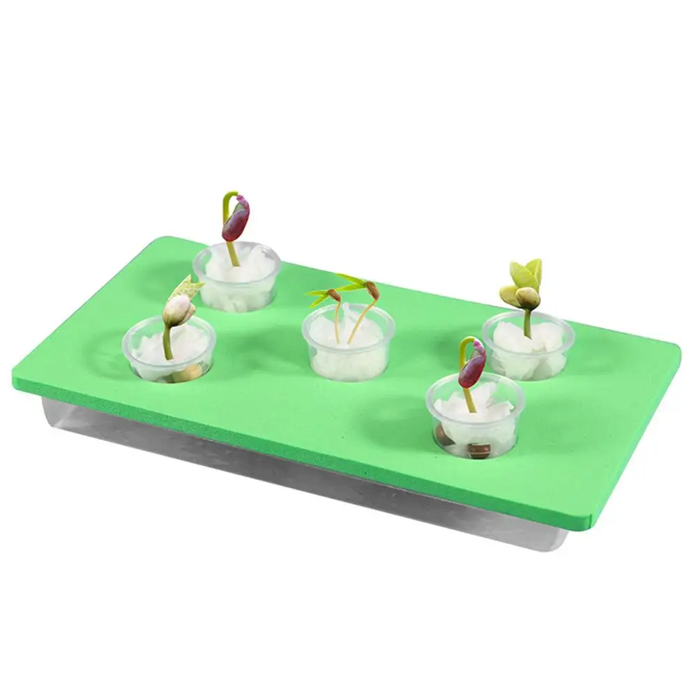 

Student Science Experiment Toy Puzzle Diy Handmade Seed Germination Environment Science Technology Small Production Invention