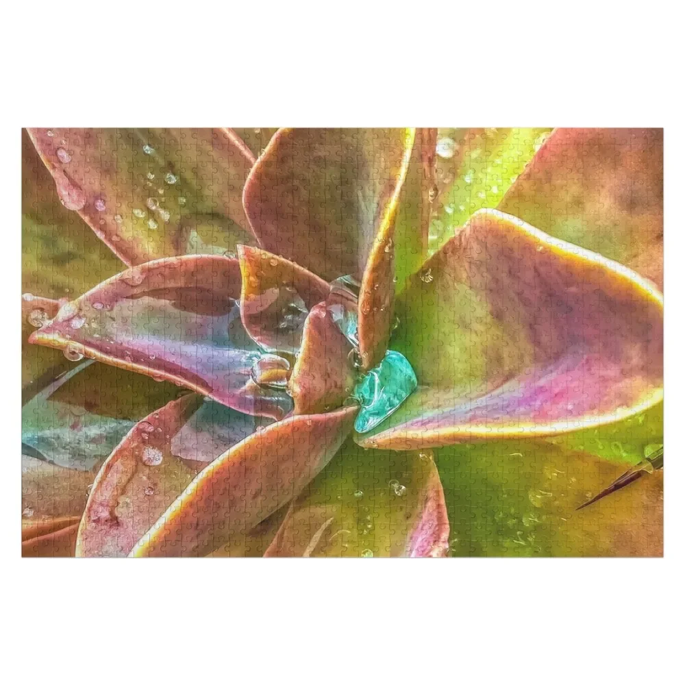Мечап зеленое и розовое сочное растение с каплями воды Пазл на заказ
