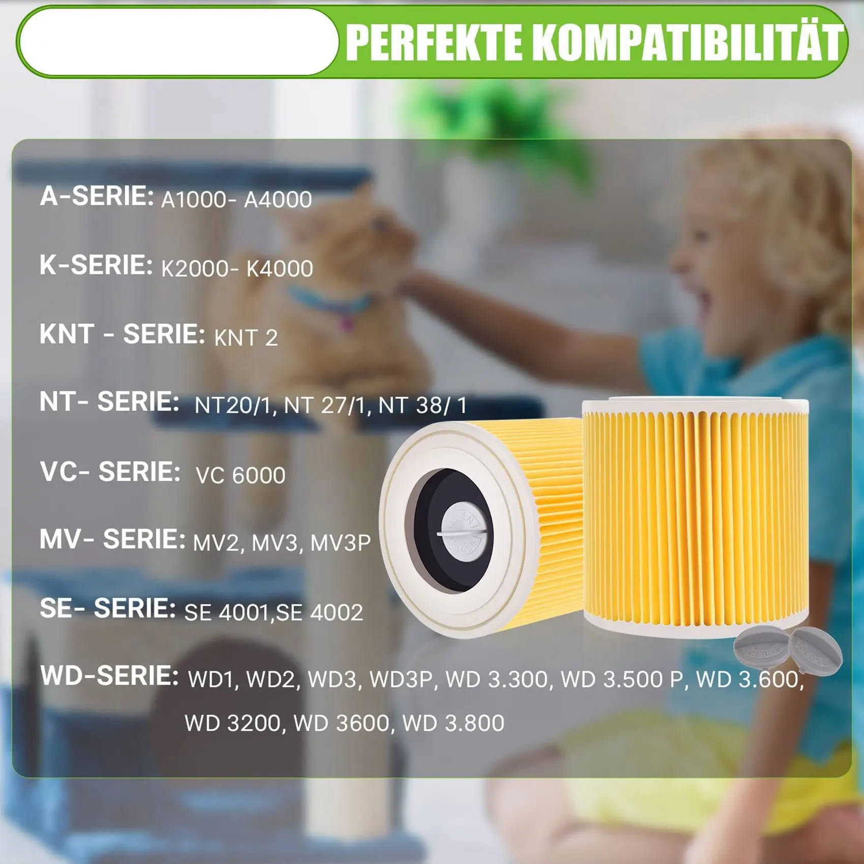 Фильтр для WD3 Premium WD2 WD3P MV2 MV3 Сменный фильтр пылесоса