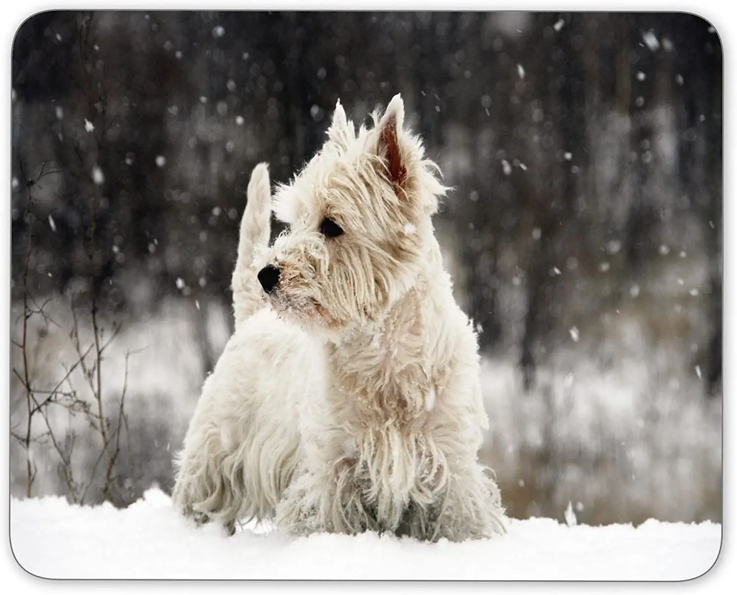 

West Highland White Terrier Mouse pad Non-Slip Rubber Mousepad-Applies to Games Home School Office Mouse pad 9.5x7.9 In