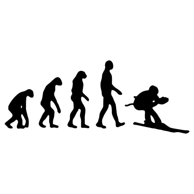 

20x8 см Виниловая наклейка, лыжная эволюция, автомобильная наклейка, водонепроницаемые автомобильные декорации на бампер, заднее стекло грузовика