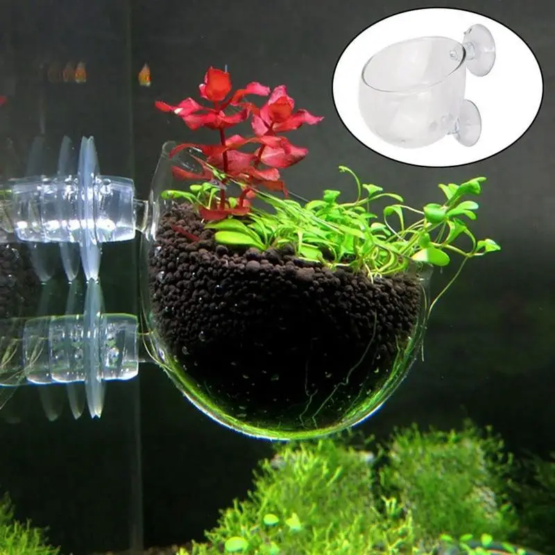 

Acrylic Aquatic Plant Pot Cup Wall Mounted Hanging Aquarium Plant Bowl Decoration Tool For Saltwater And Freshwater Aquarium