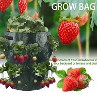 pe strawberry growing bag garden hanging planting bag 2035cm vegetable flower planter plant care accessories