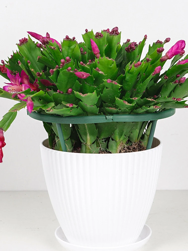 

1Pc Plastic Support Pile Stand Plant Support Pile For Flowers Greenhouses Arrangement Fixing Rod Holder Garden Tools