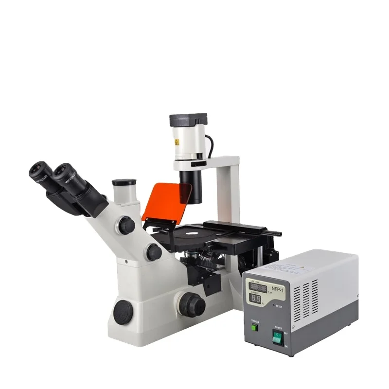 

Hot sale inverted fluorescence microscope with good price