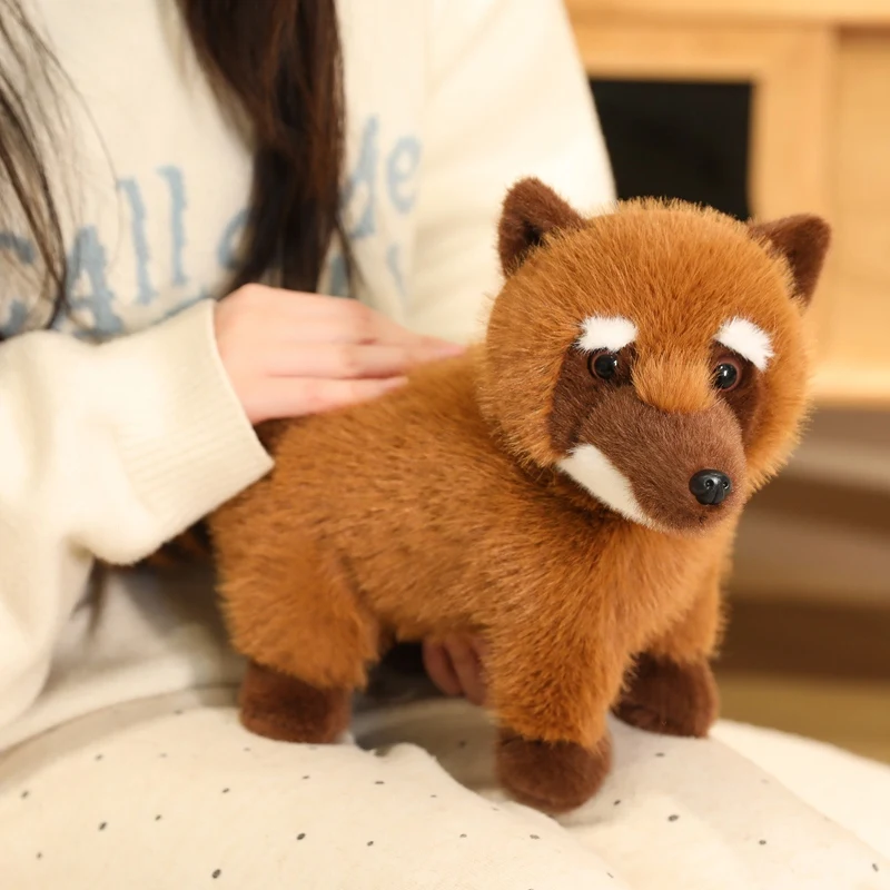 Фото Kawaii 53X25 см Coati плюшевая аниме-подушка Kawaii модная плюшевая кукла енот на плечо подушка для сна подарки для подруги №4