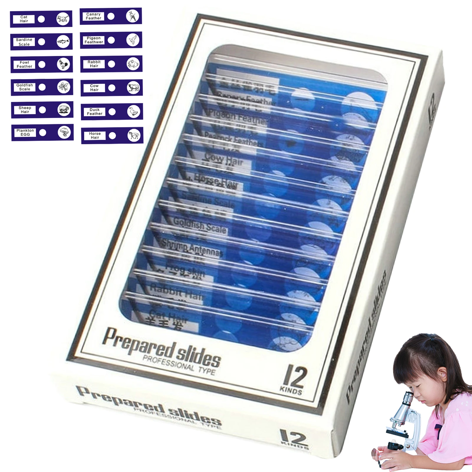 

Детские искусственные слайды 12 шт. с образцами для детей