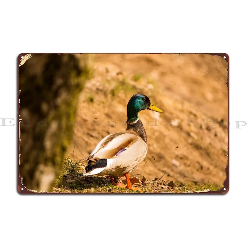 

Металлический плакат на стену с изображением утки