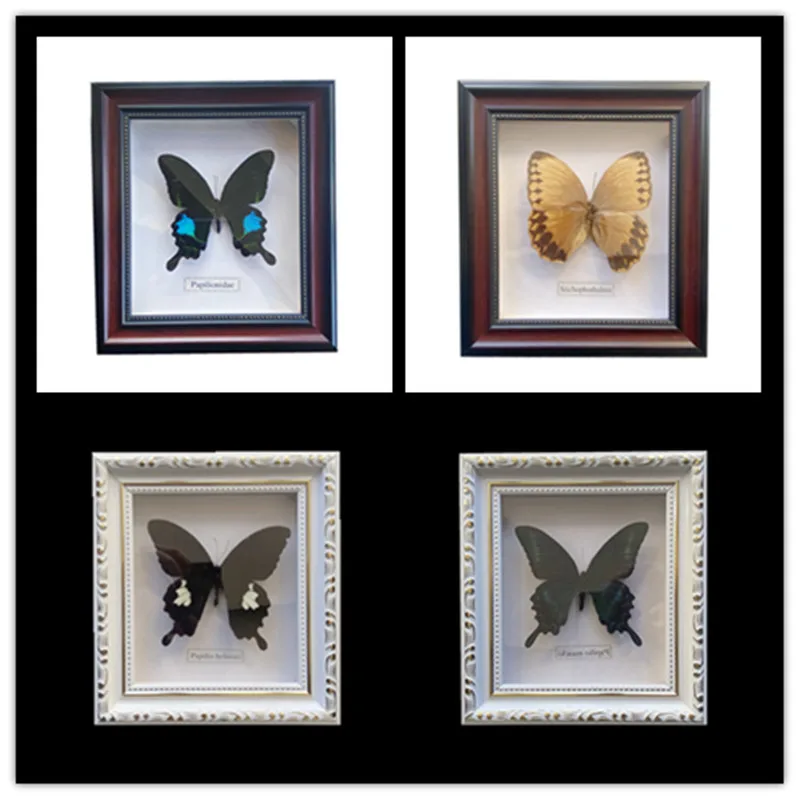 

Реалистичный образец красивой бабочки, коллекция образовательных материалов/образец бабочки, художественный материал для декора и