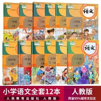 12 books china student schoolbook textbook chinese pinyin hanzi mandarin language book primary school complete set grade 1 to 6