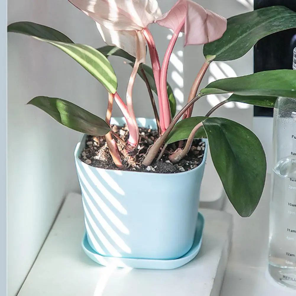 

Plant Container Convenient Plastic Lightweight Succulent Plant Container for Garden Planter Pot Flower Planter
