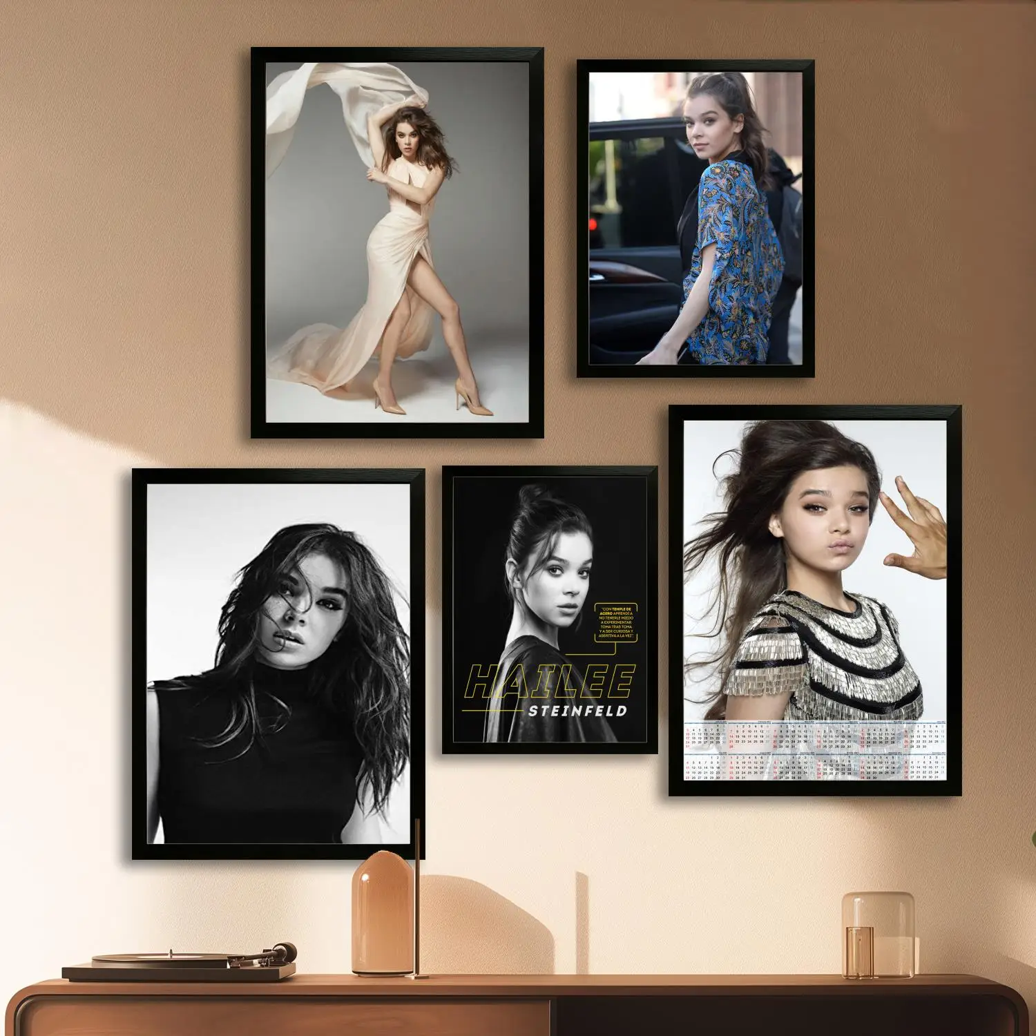 Художественный постер Hailee Steinfeld