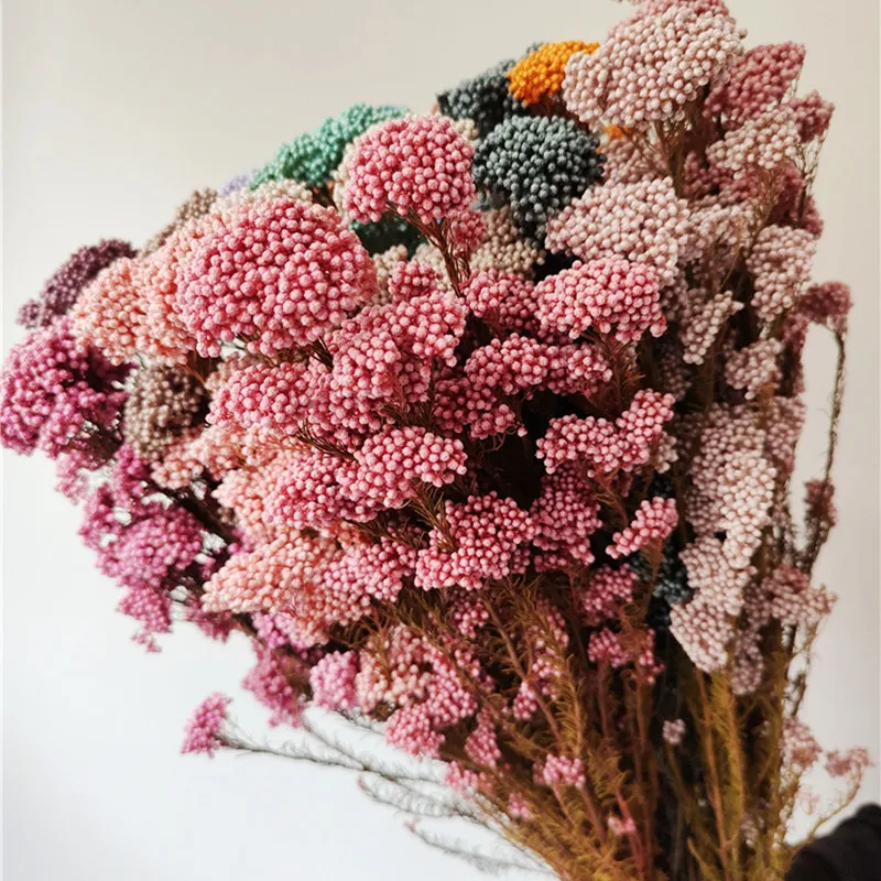 50g Natural Millet Fruit Dried Flower   living Room Decoration Wedding Decoration Bedroomwall Artificial Plants For Decoration