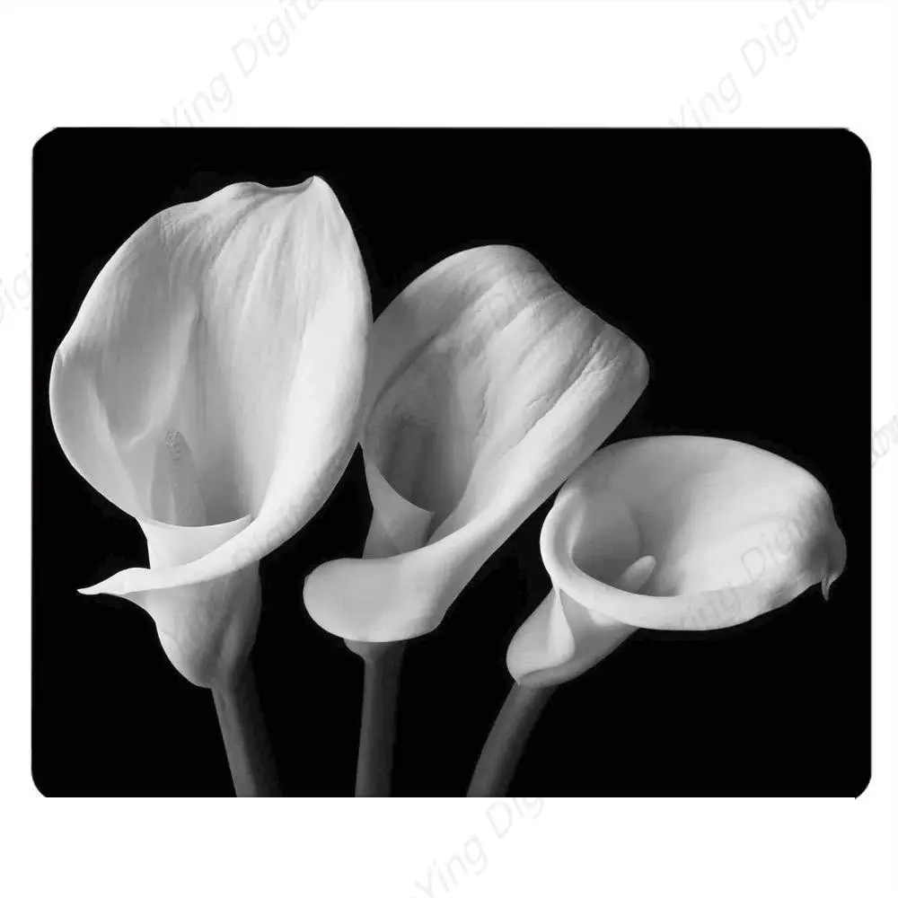 Растения цветы водяные лилии игровые коврики для мыши компьютерные столы