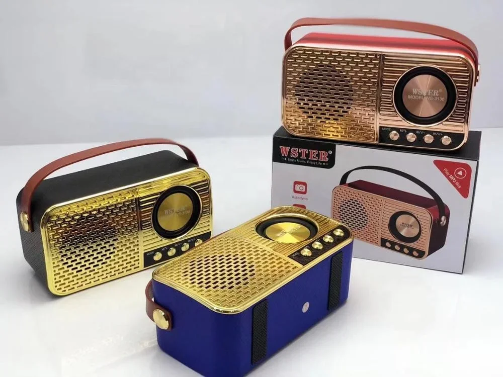 Оригинальный WSTER WS3138 с поддержкой USB TF-карты FM-радио Dab тюнер Dj-система портативный
