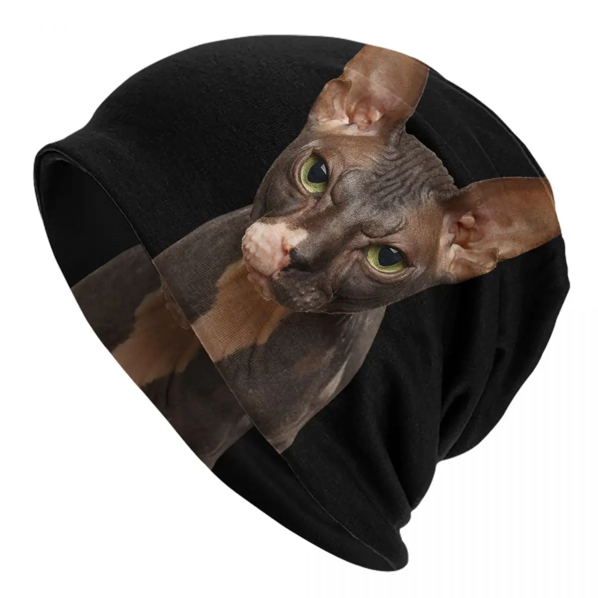 Closeup Portrait Of Grumpy Sphynx Cat Front View On Black Adult Men's Women's Knit Hat Keep warm winter Funny knitted hat
