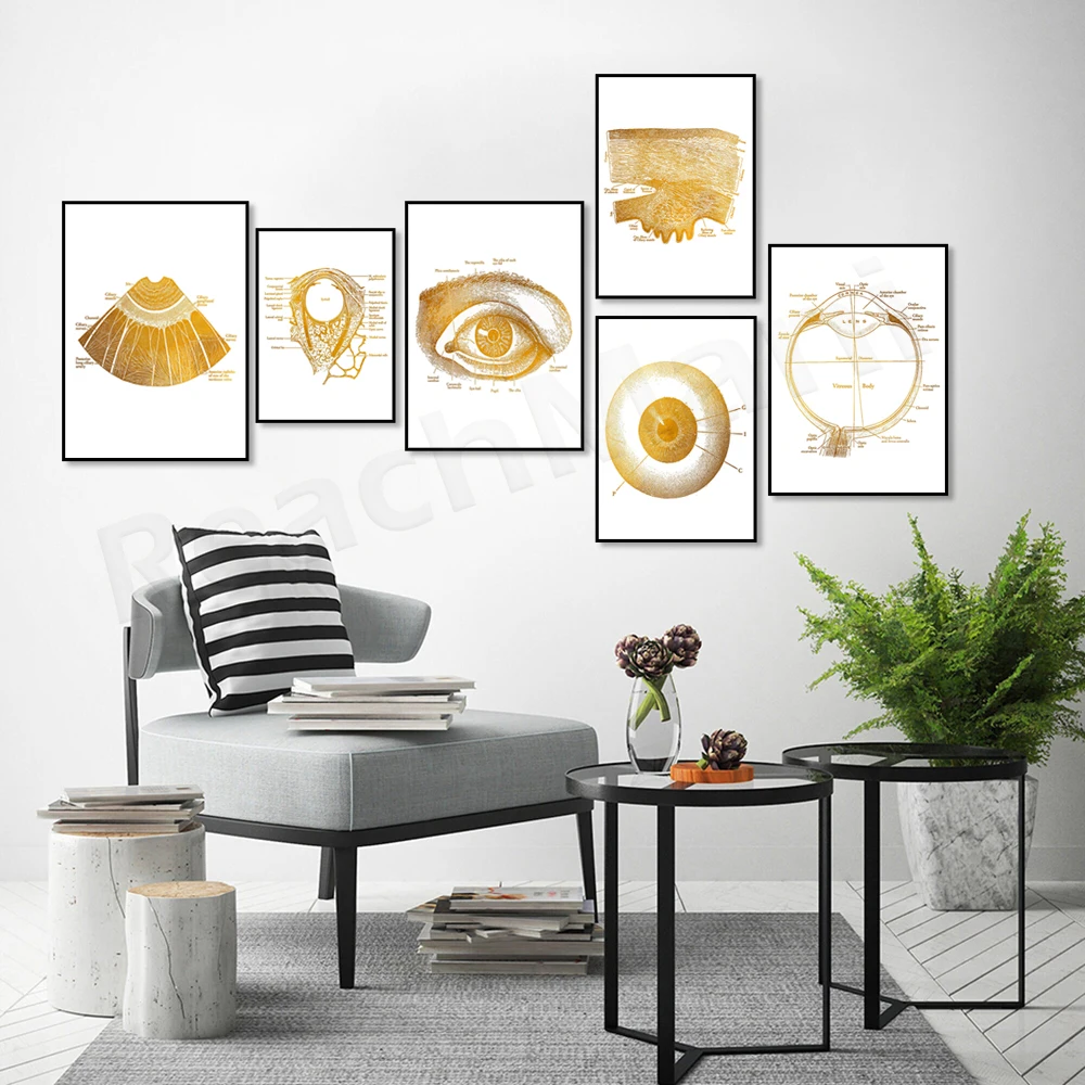 Офтальмологическая Анатомия глаз оптометрическая Постер оптометрии-искусство