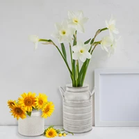 decorative flower vases galvanized metal rustic vase with handles flower vases metal flower plant bucket for home table garden
