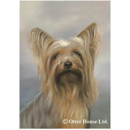 Декоративный флаг йорка