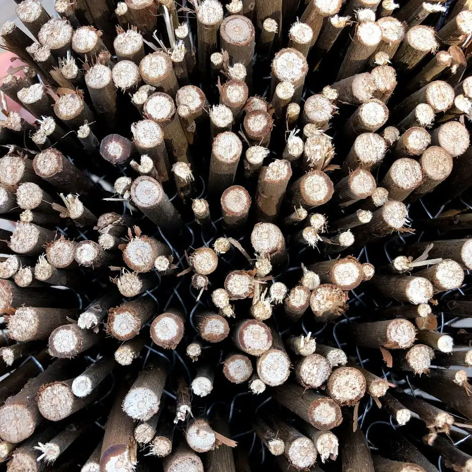 Каниссе 1x5 м коричневые плетеные ограждения и перголы |