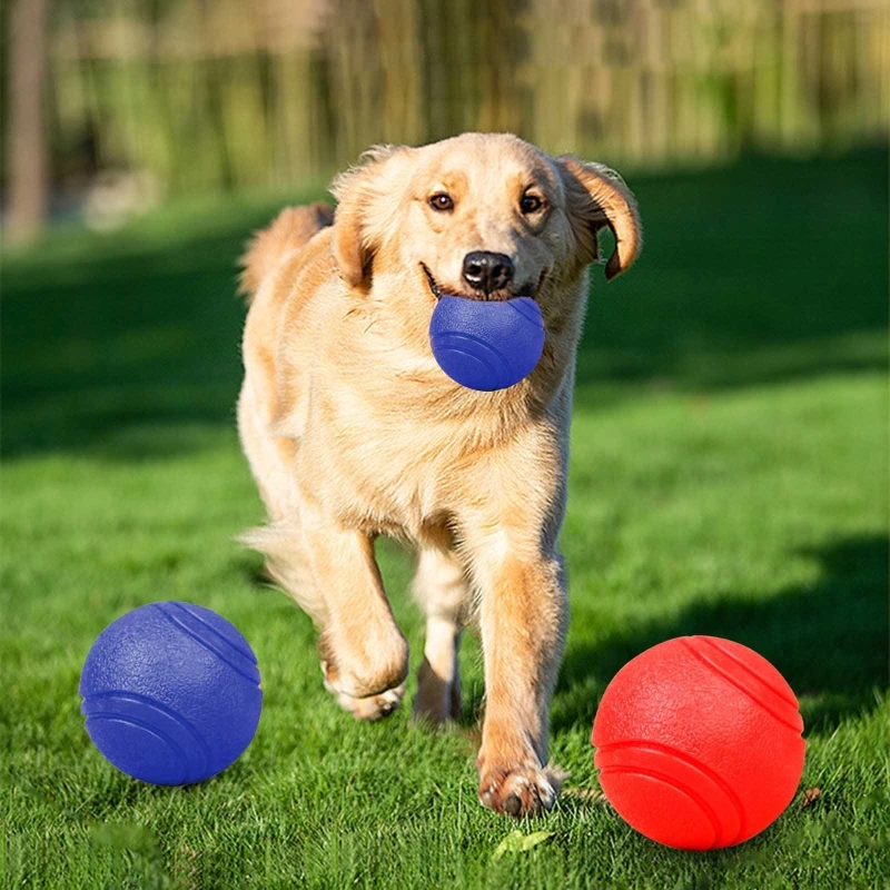 solid rubber dog toys