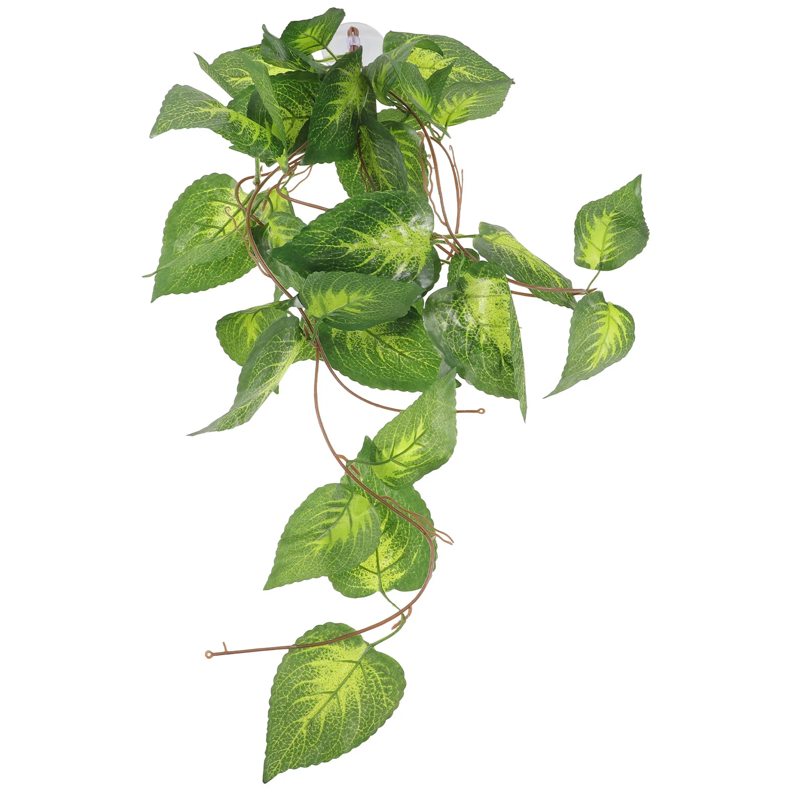 

Amphibian Hanging Plants Crawler Simulation Fish Tank Accessories Decorations Decorative Reptile