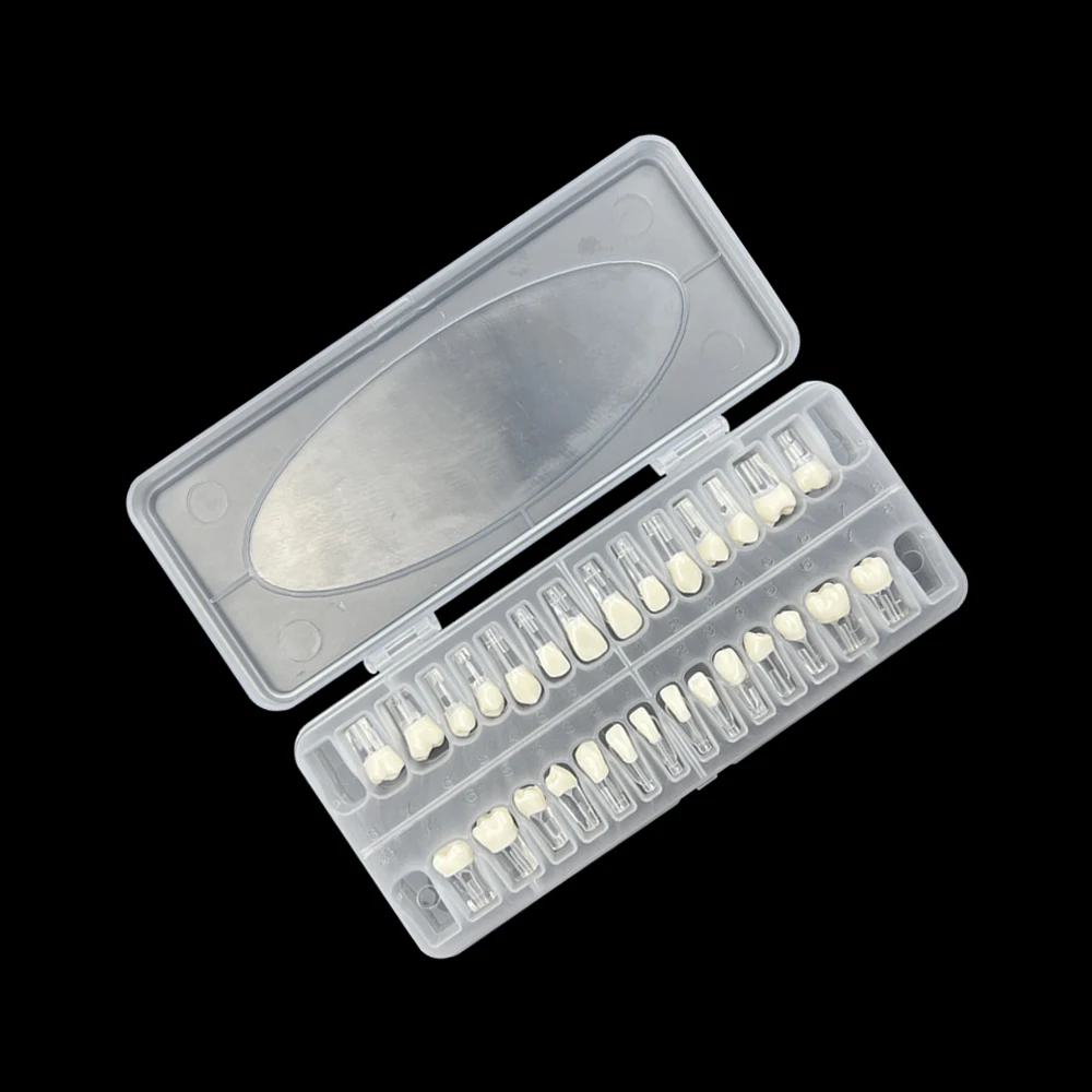 28 шт./набор эндододонтические зубы